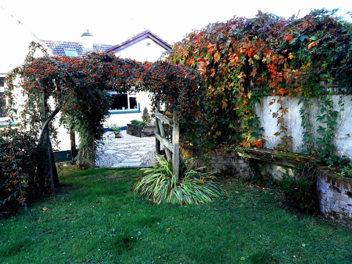 Country Home TaraRathfeigh エクステリア 写真